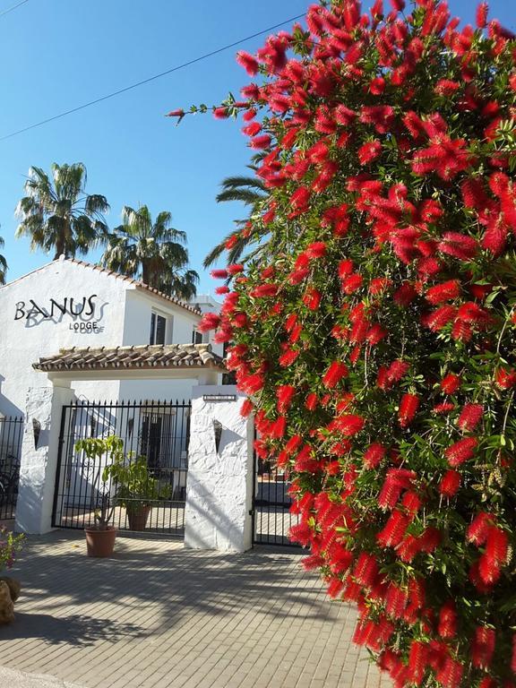 Banus Lodge Marbella Exterior photo